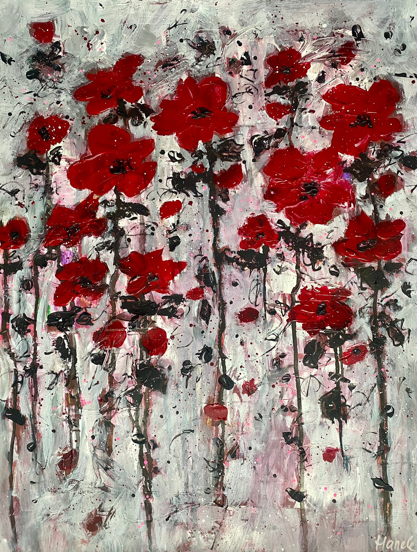 Red poppies